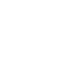 bloomreach logo